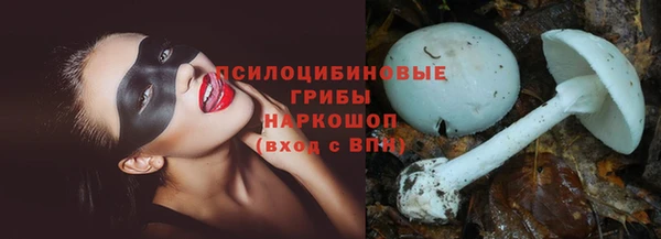 тгк Алексеевка